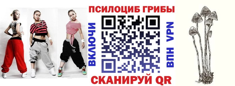 где купить наркотик Свирск ОМГ ОМГ вход Псилоцибиновые грибы мицелий